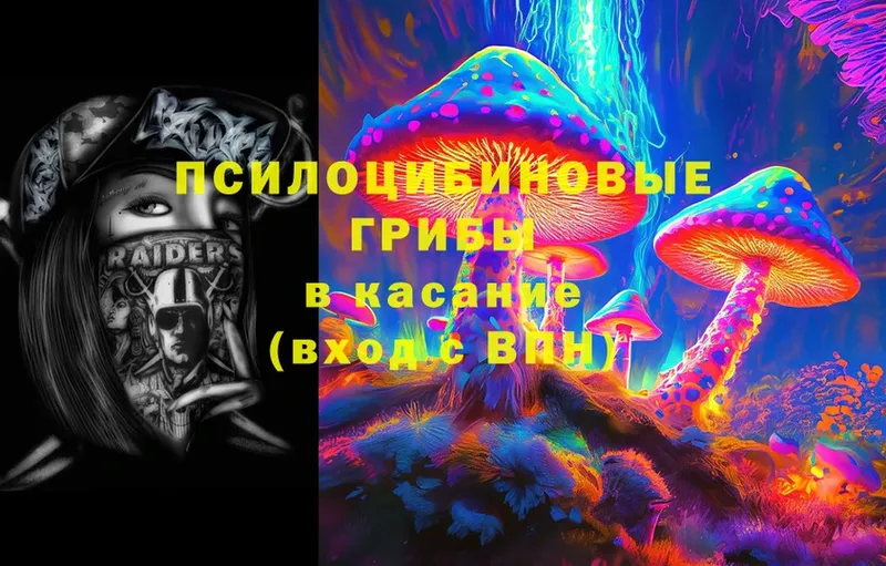 блэк спрут ссылки  Межгорье  Галлюциногенные грибы MAGIC MUSHROOMS 